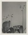 LINCOLN, EDWIN HALE (1828-1938) Suite of 20 photographs from ""Wildflowers of New England.""